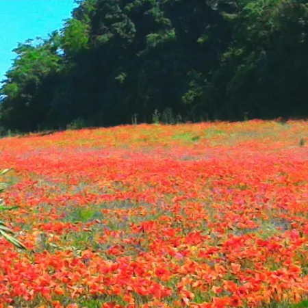 Bauernhof San Filippo *