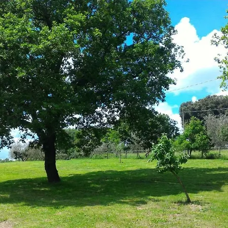 San Filippo